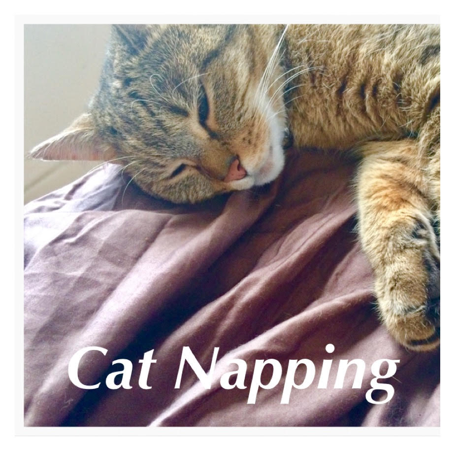 How taking a catnap helps you live longer